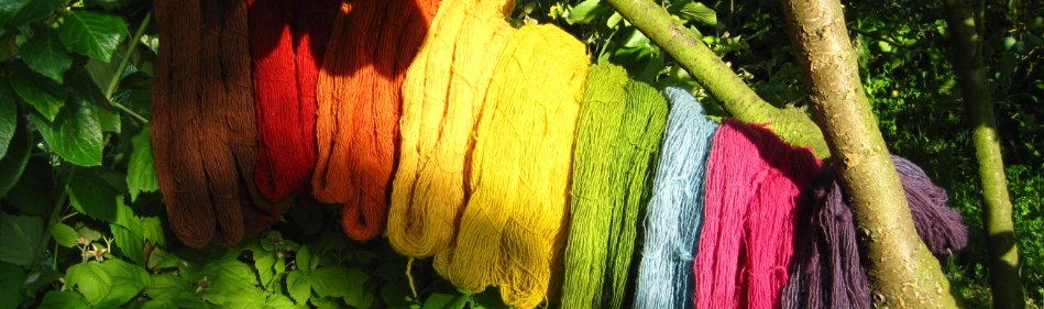 plant dyed wool all colours of the rainbow